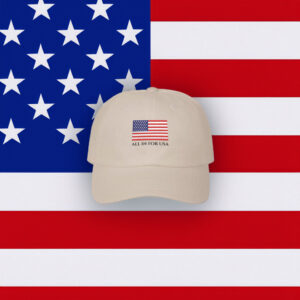 Embroidered USA Flag Dad Hat