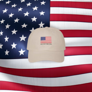 Embroidered USA Flag Dad Hat