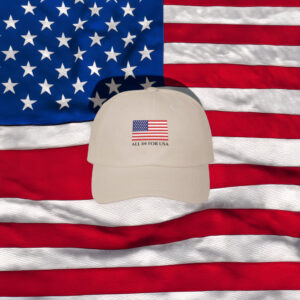 Embroidered USA Flag Dad Hat
